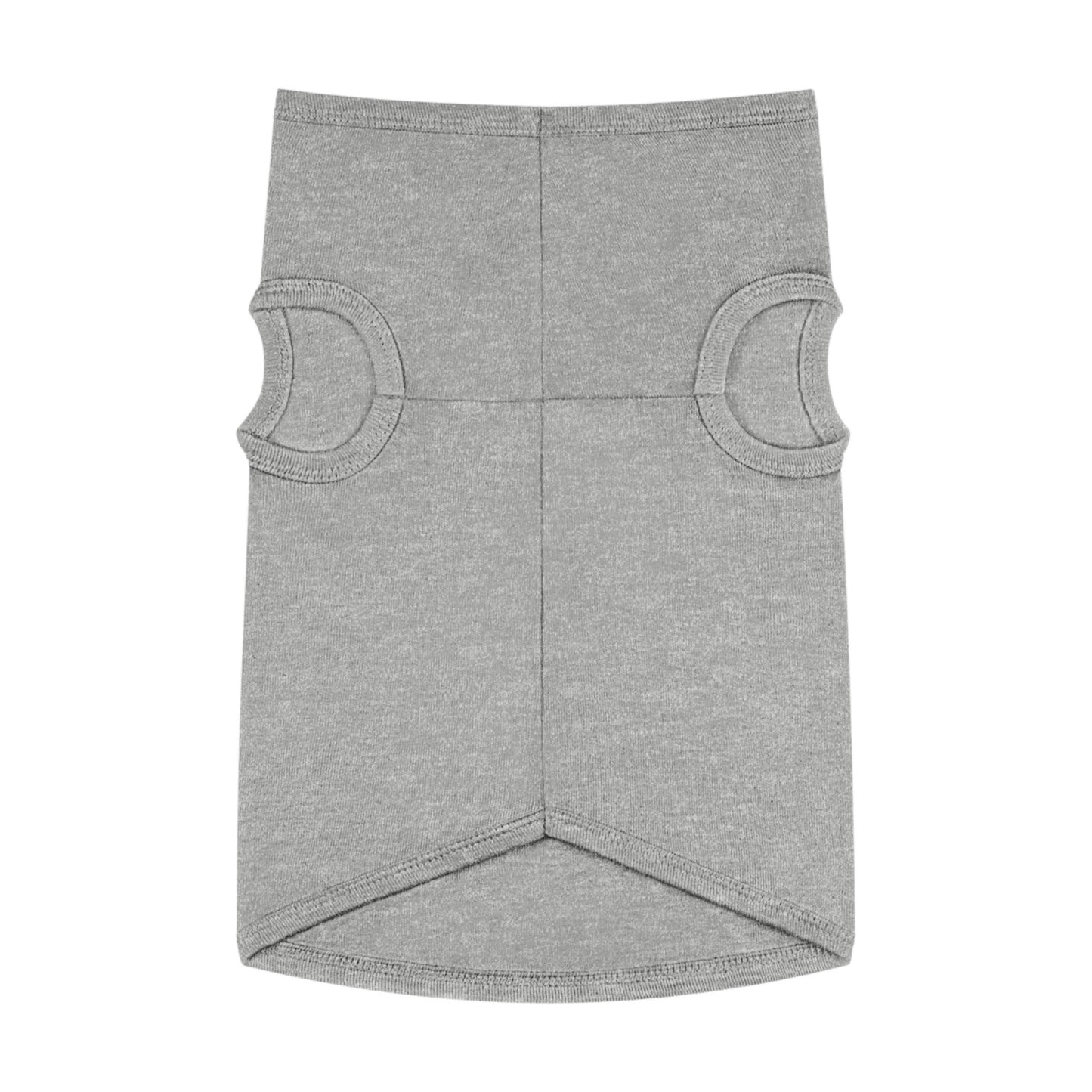 Dog Winter Walk Tank — Cozy Couple & Husky Scenic Pet Tank Top