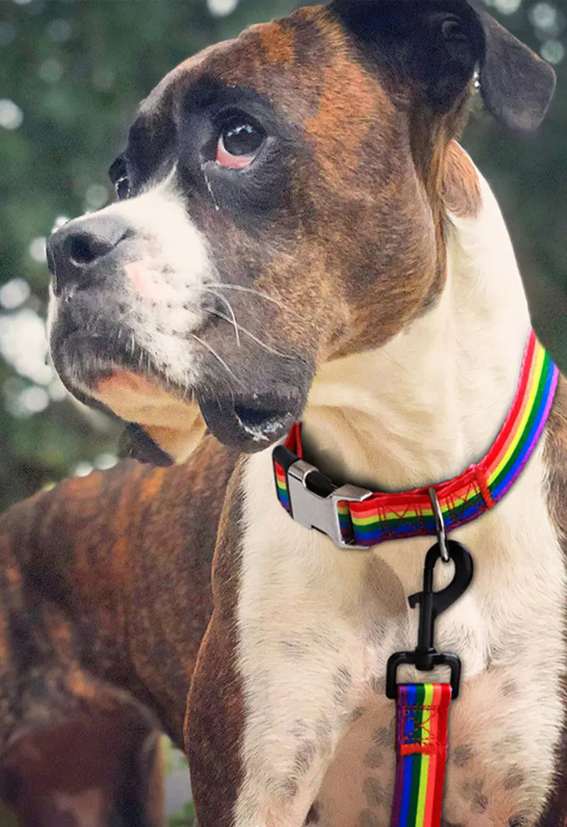 Forest Pattern Collar Pet Accessories Pet Stripes Polyester National Wind Dog Rope Adjustable Nylon Dog Collar Personalized