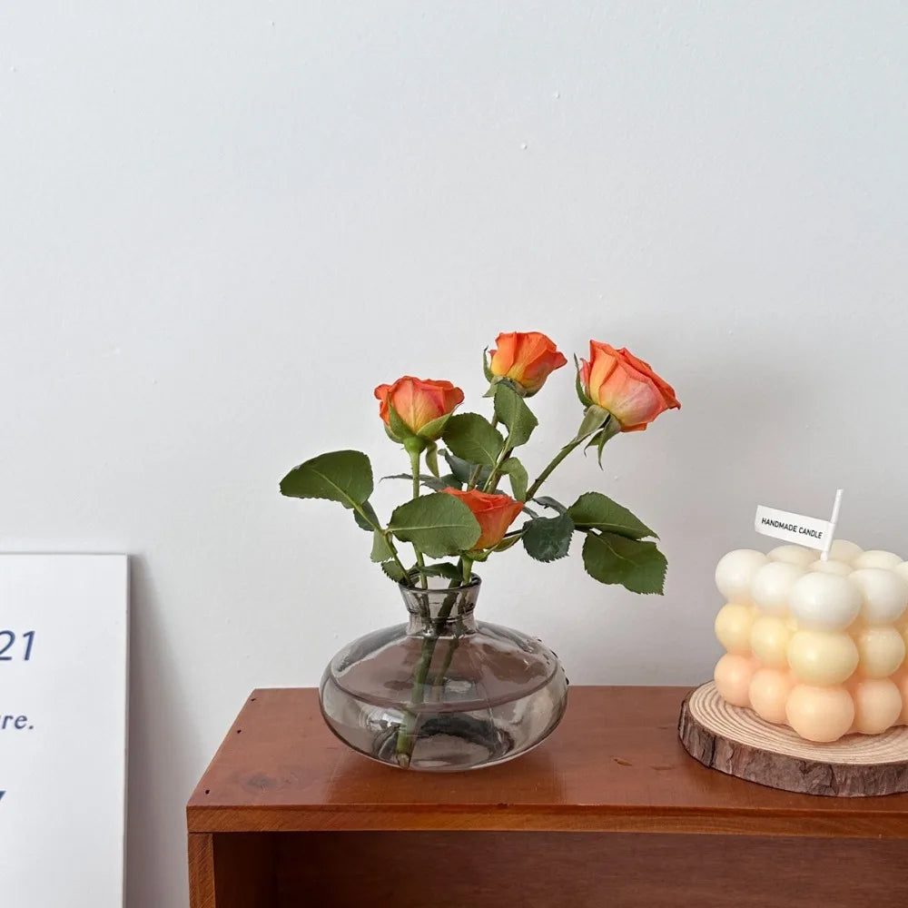 Simple Mini Glass Flower Vase Desktop Transparent Hydroponic Plant Bottle Living Room Flower Arrangement Pot Home Decoration