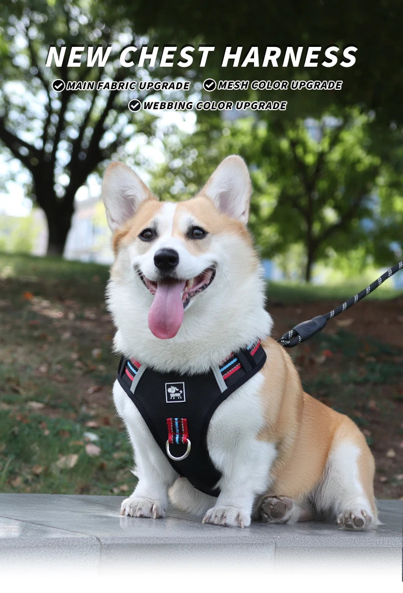 Pet Dog Harness Handle Puppy Collar Large Dog Lead Lightweight Walking Explosion-proof Lift Dog Travel Harnesses Dog Leash