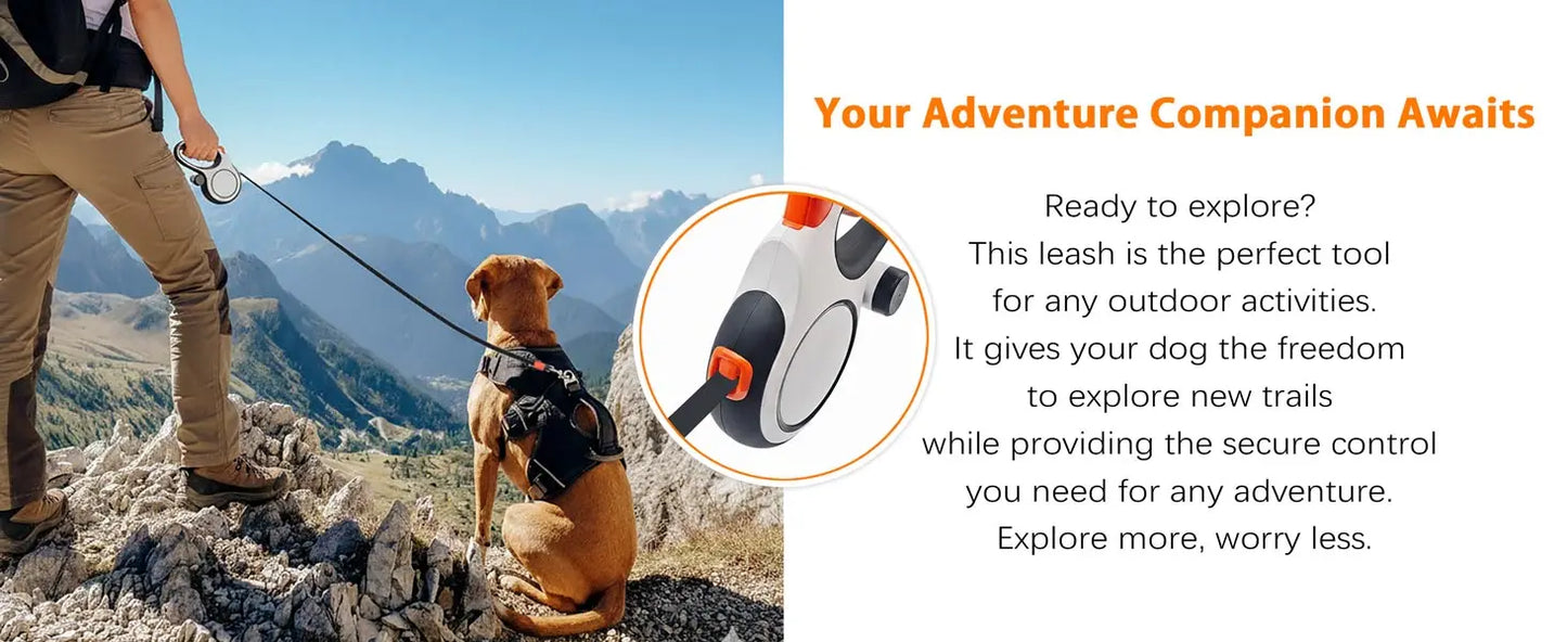 5m 8m 50kg Dog Leash Retractable Roulette Collar for Small Big Dogs Accessories Adjustable Walking Hiking French Bulldog Rope