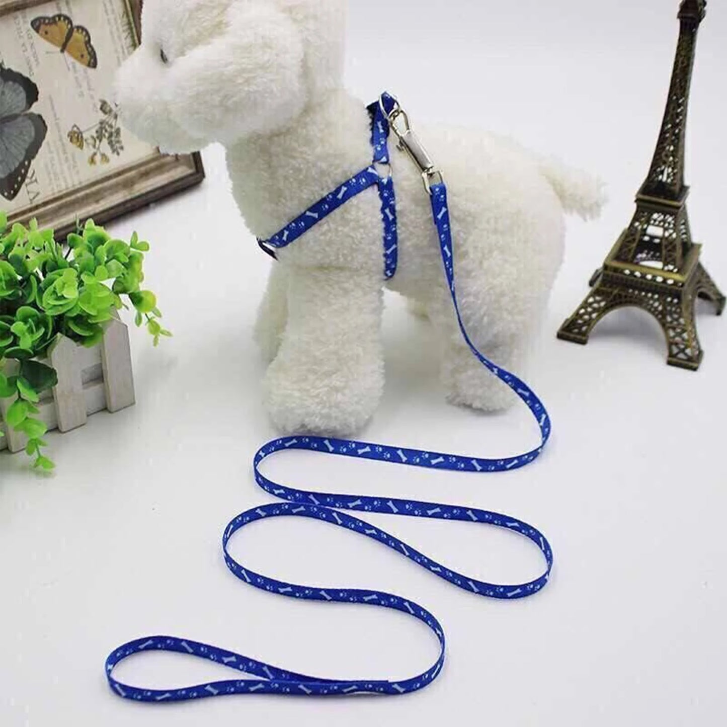 Cute Pet Leash & Harness Set for Small Dogs & Cats