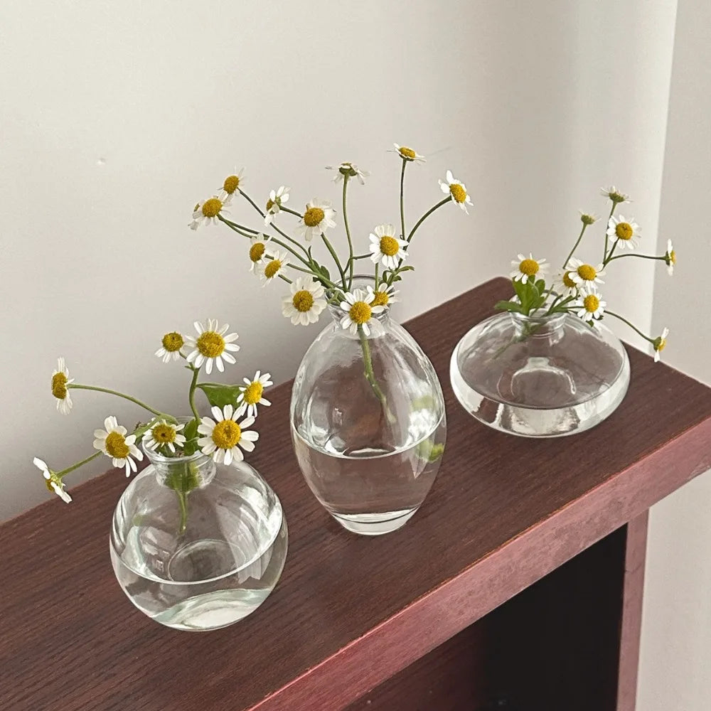 Simple Mini Glass Flower Vase Desktop Transparent Hydroponic Plant Bottle Living Room Flower Arrangement Pot Home Decoration