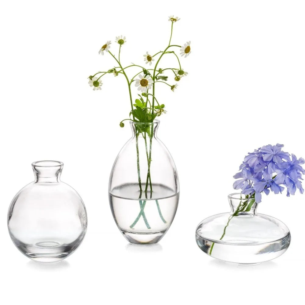 Simple Mini Glass Flower Vase Desktop Transparent Hydroponic Plant Bottle Living Room Flower Arrangement Pot Home Decoration