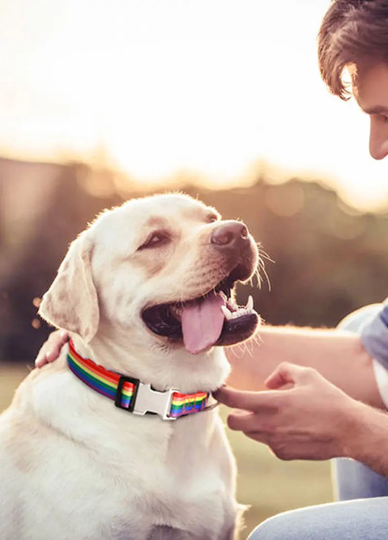 Forest Pattern Collar Pet Accessories Pet Stripes Polyester National Wind Dog Rope Adjustable Nylon Dog Collar Personalized