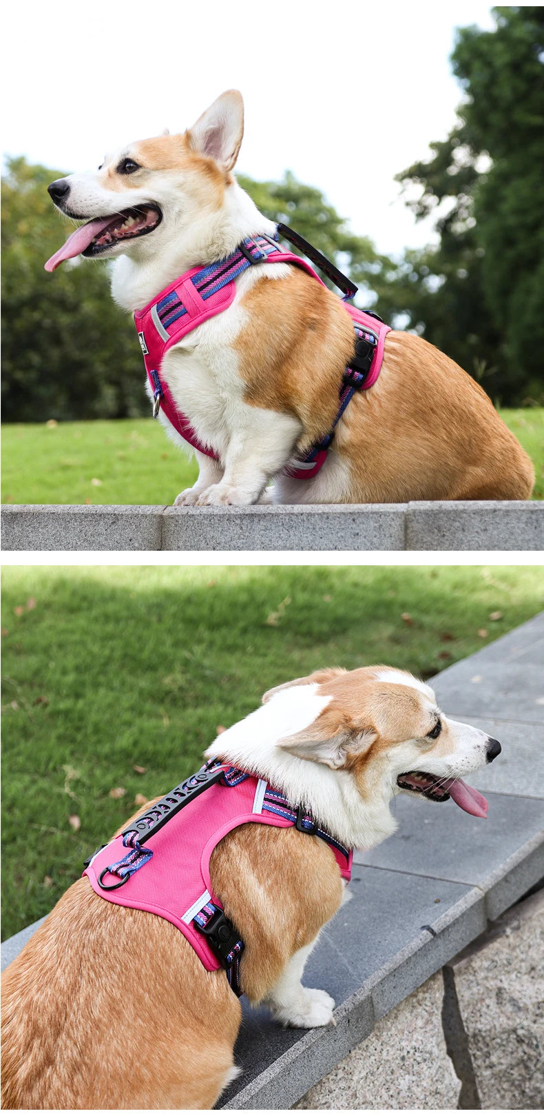 Pet Dog Harness Handle Puppy Collar Large Dog Lead Lightweight Walking Explosion-proof Lift Dog Travel Harnesses Dog Leash