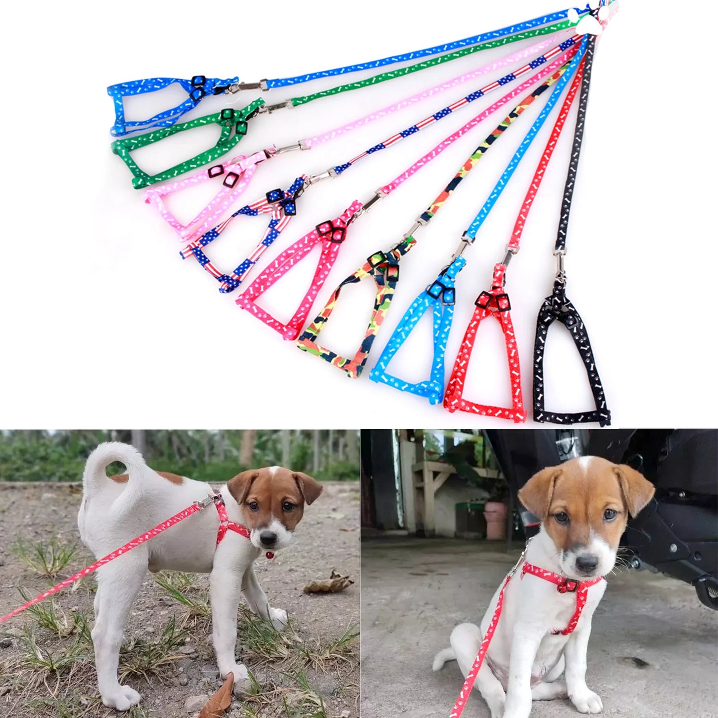 Cute Pet Leash & Harness Set for Small Dogs & Cats