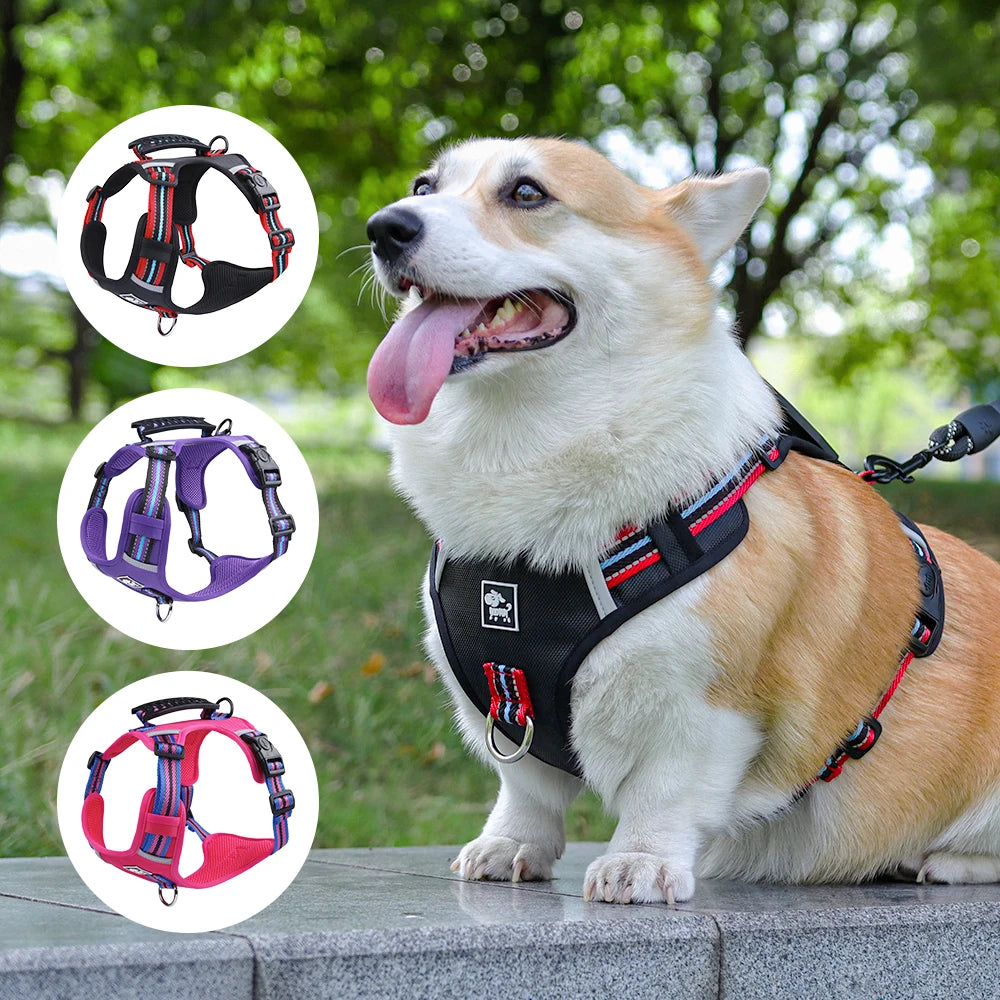 Pet Dog Harness Handle Puppy Collar Large Dog Lead Lightweight Walking Explosion-proof Lift Dog Travel Harnesses Dog Leash