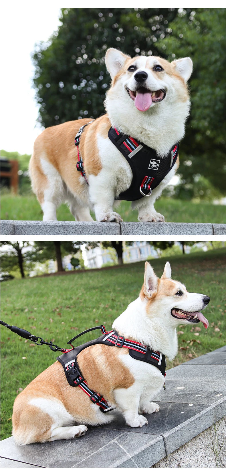 Pet Dog Harness Handle Puppy Collar Large Dog Lead Lightweight Walking Explosion-proof Lift Dog Travel Harnesses Dog Leash