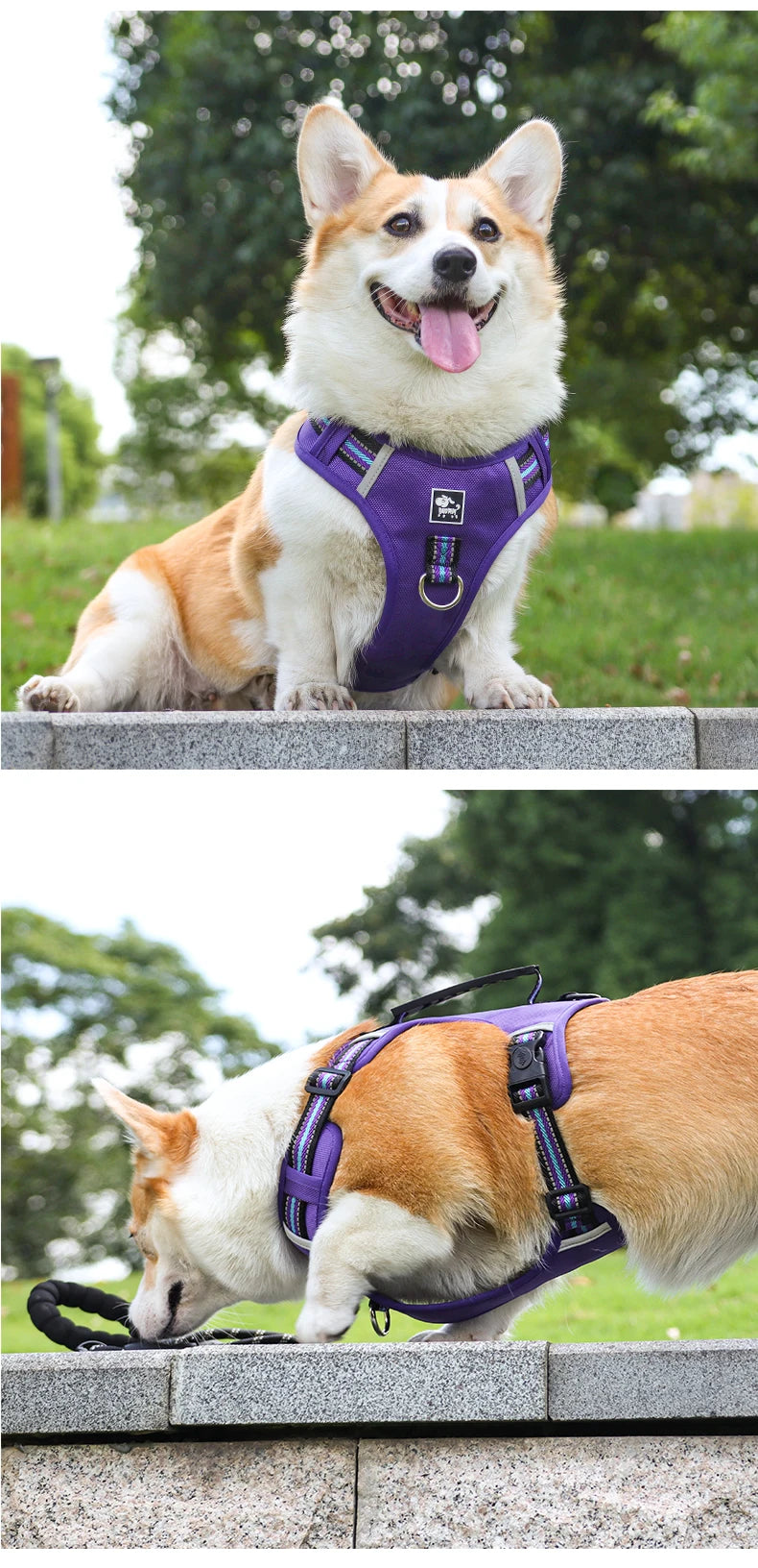 Pet Dog Harness Handle Puppy Collar Large Dog Lead Lightweight Walking Explosion-proof Lift Dog Travel Harnesses Dog Leash