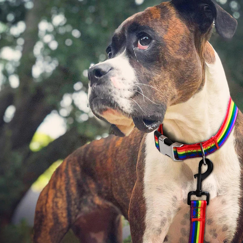 Forest Pattern Collar Pet Accessories Pet Stripes Polyester National Wind Dog Rope Adjustable Nylon Dog Collar Personalized